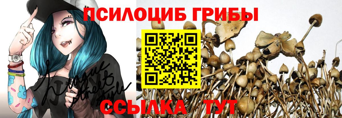 Псилоцибиновые грибы мицелий  Вход с VPN  Новороссийск 