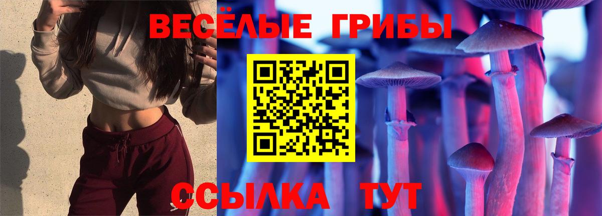 Галлюциногенные грибы мицелий Новороссийск