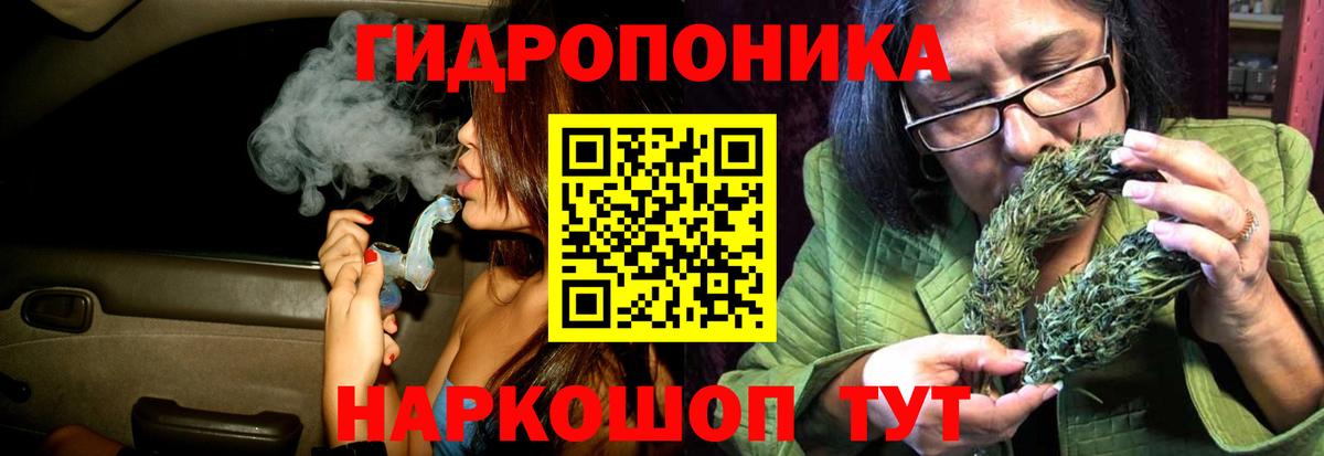 Конопля сатива Новороссийск